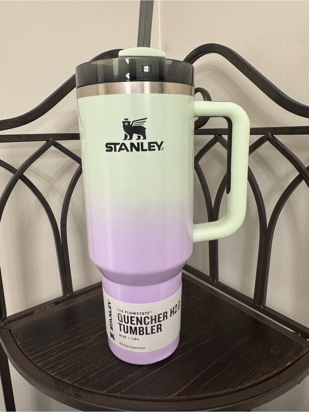Flawed Stanley 40oz Hypnotic Quencher Tumbler in Ombre